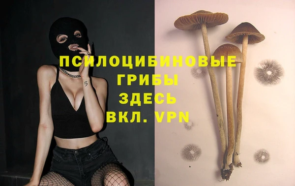 дурь Вязники